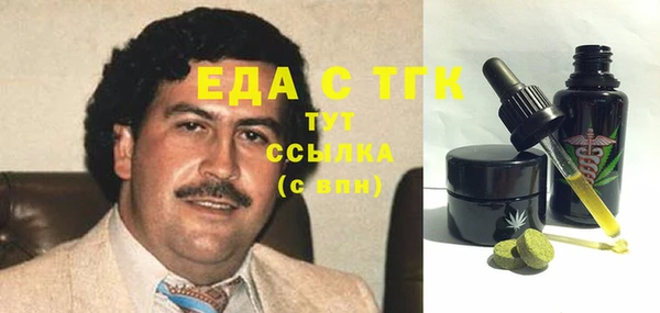 гидра Абаза
