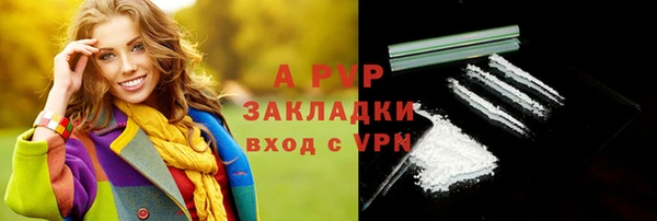 гидра Абаза