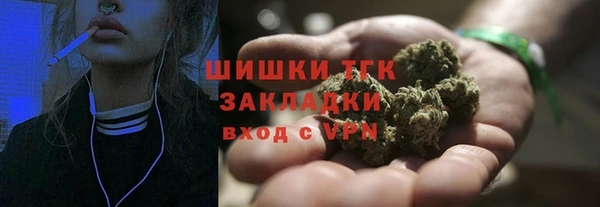 гидра Абаза