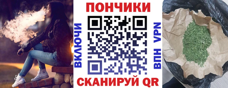 Шишки марихуана SATIVA & INDICA  как найти наркотики  кракен ТОР  Новотроицк 